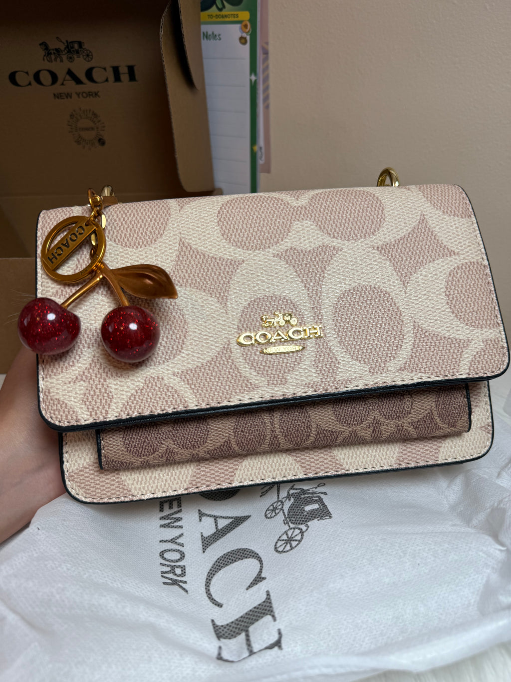 Divina Glam Bag
