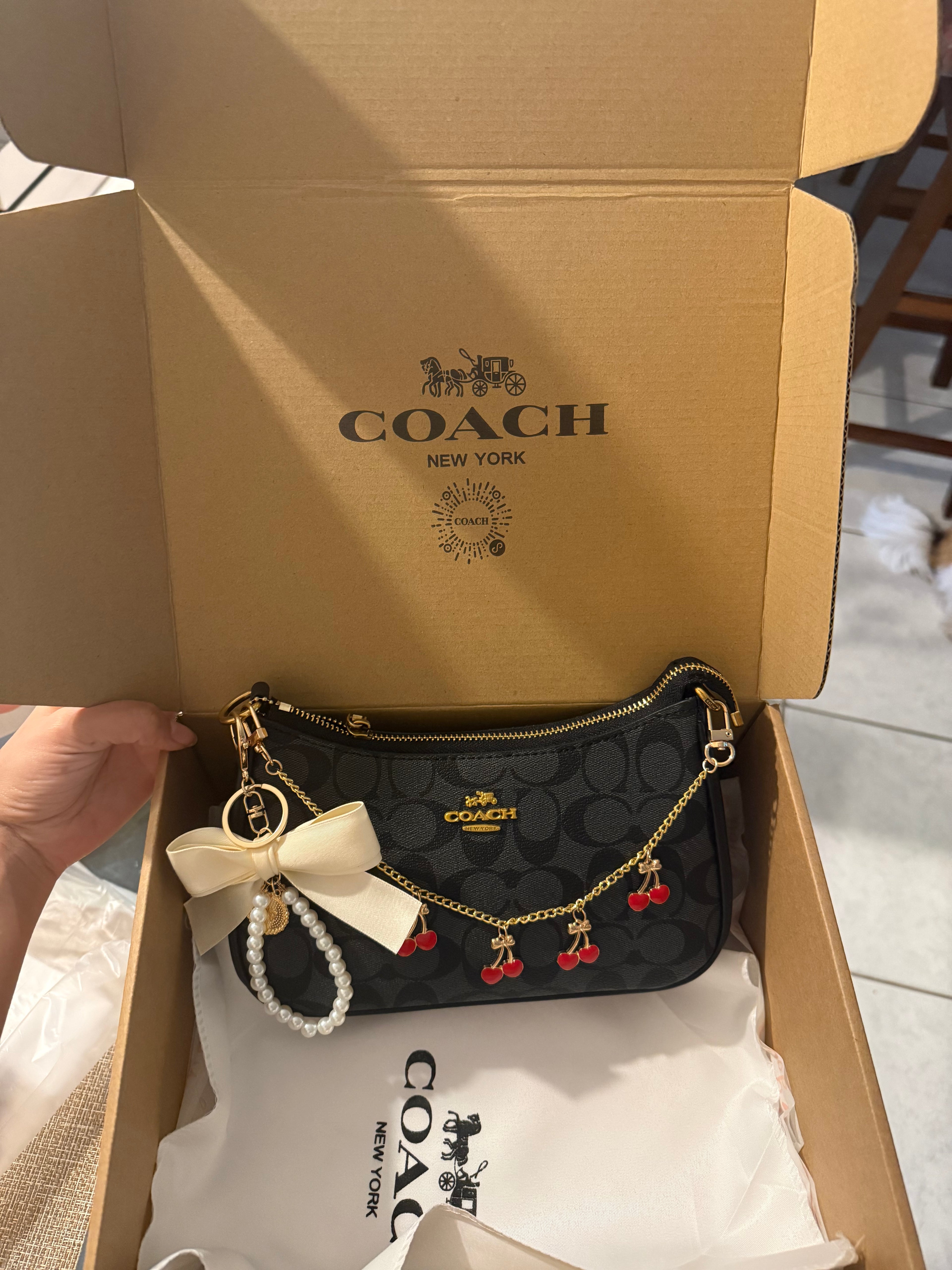 Bag Snoopy