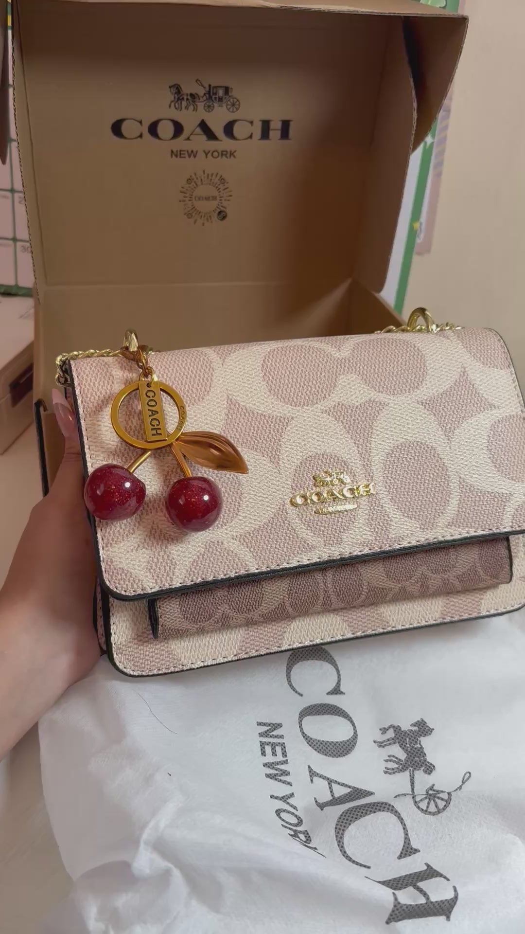 Divina Glam Bag